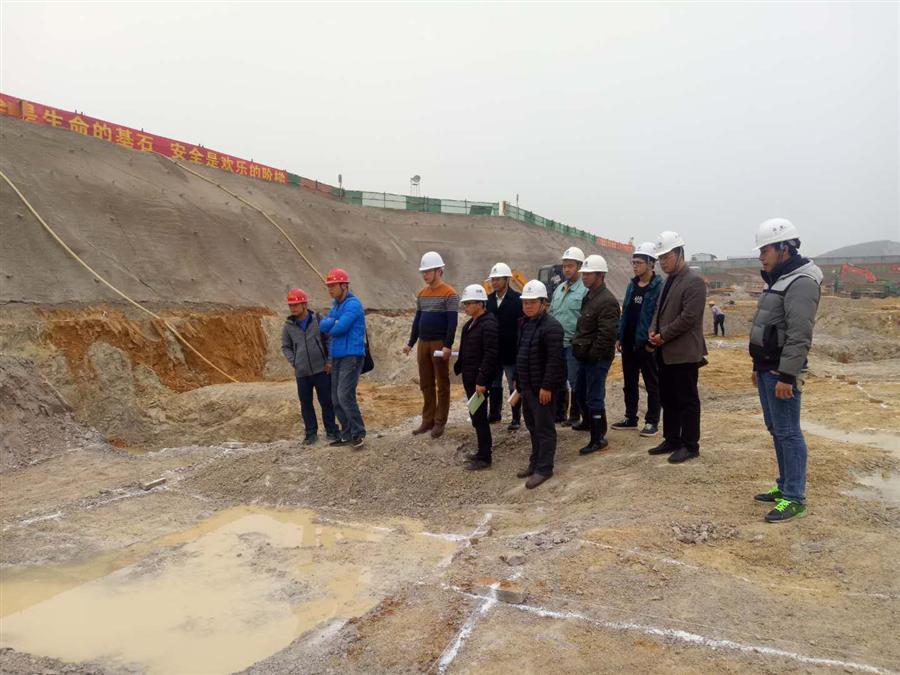 DS视讯·(中国)官方网站