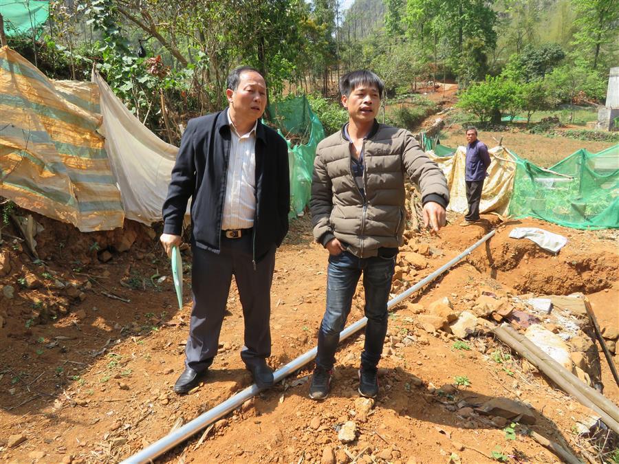 DS视讯·(中国)官方网站