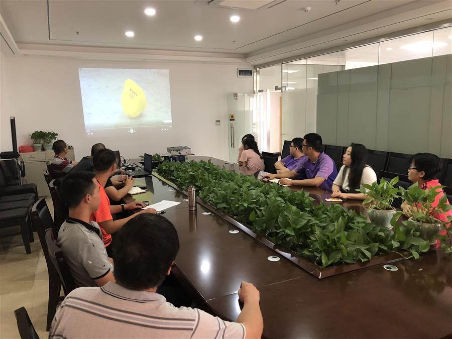 DS视讯·(中国)官方网站