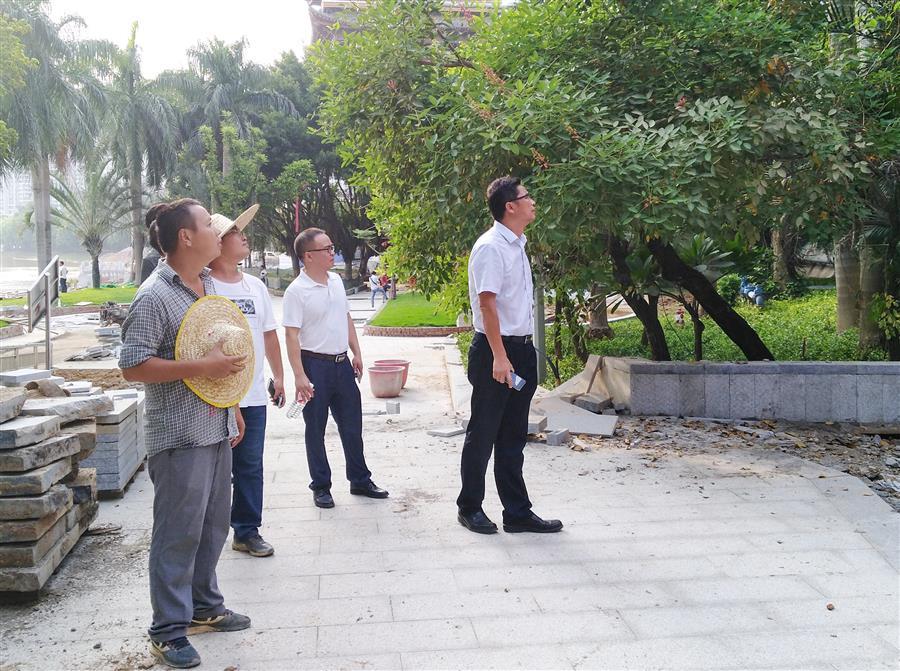 DS视讯·(中国)官方网站