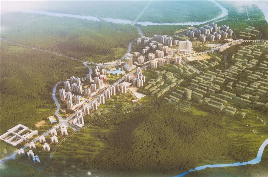 DS视讯·(中国)官方网站