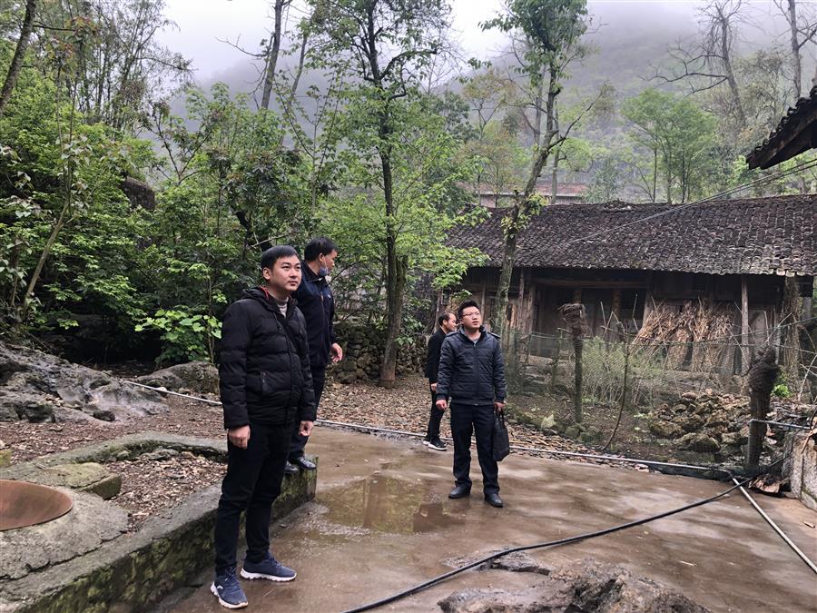 DS视讯·(中国)官方网站
