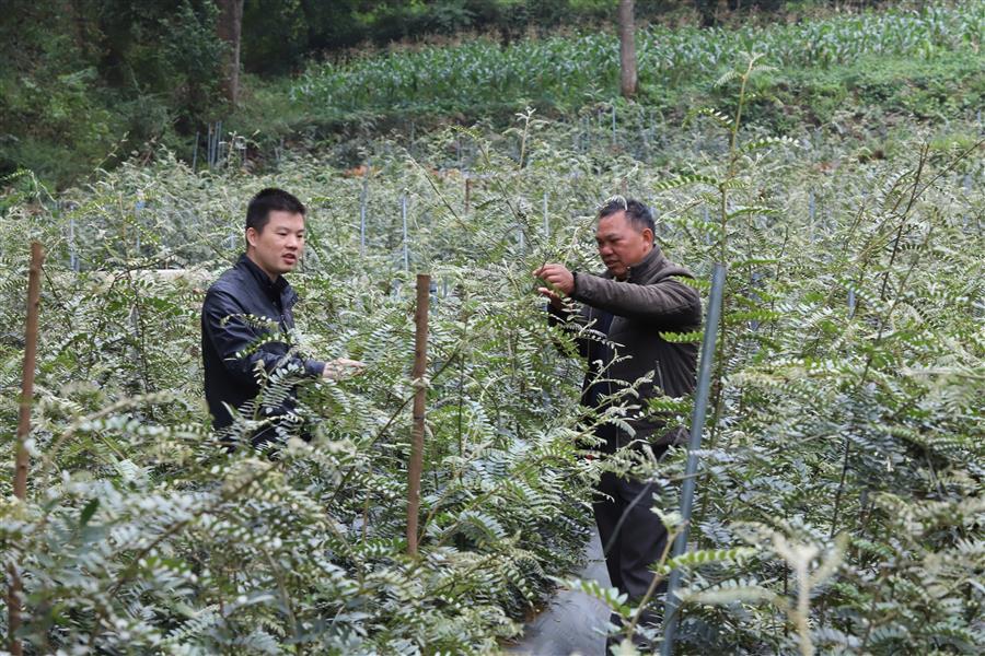 DS视讯·(中国)官方网站
