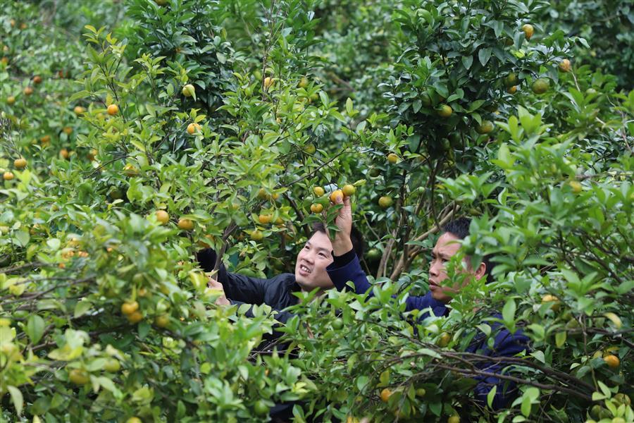 DS视讯·(中国)官方网站