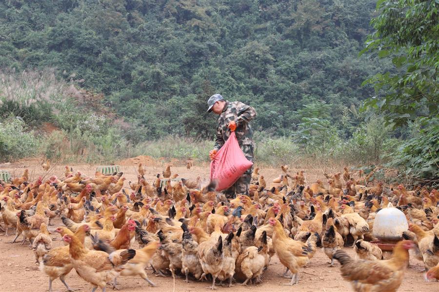 DS视讯·(中国)官方网站