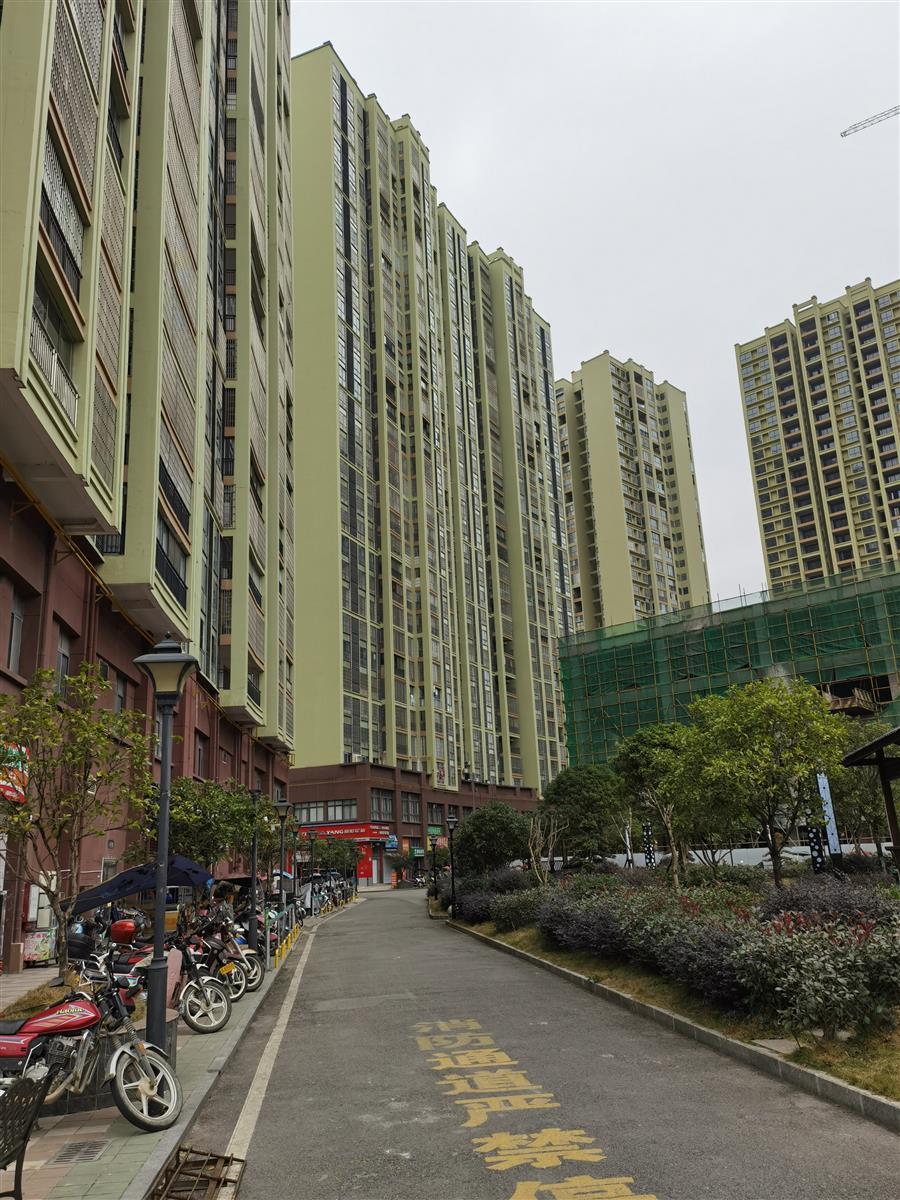 DS视讯·(中国)官方网站