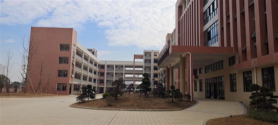 DS视讯·(中国)官方网站