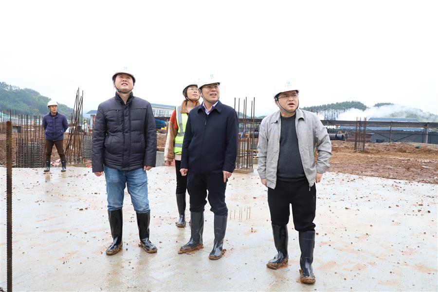 DS视讯·(中国)官方网站