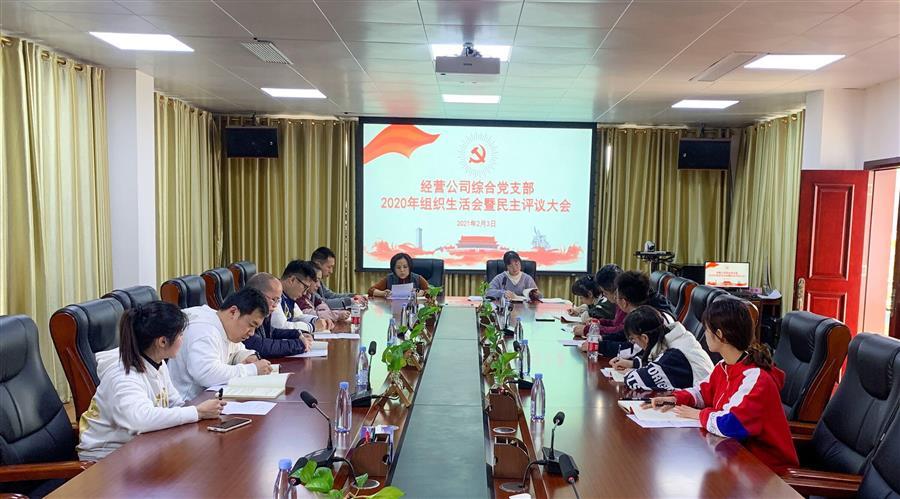 DS视讯·(中国)官方网站