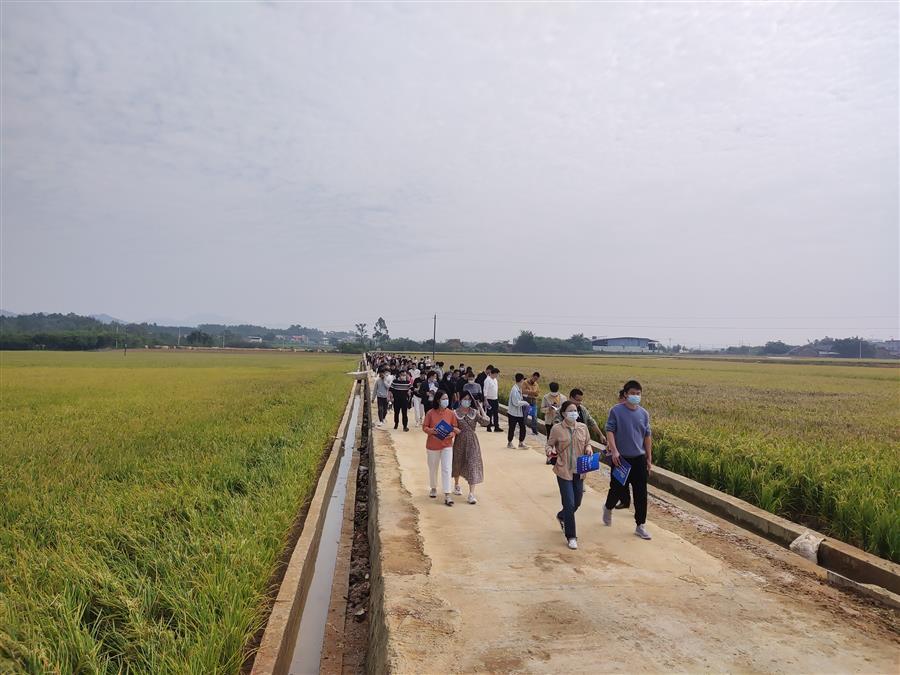 DS视讯·(中国)官方网站