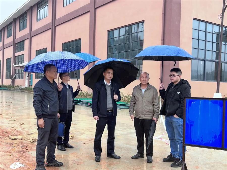 DS视讯·(中国)官方网站