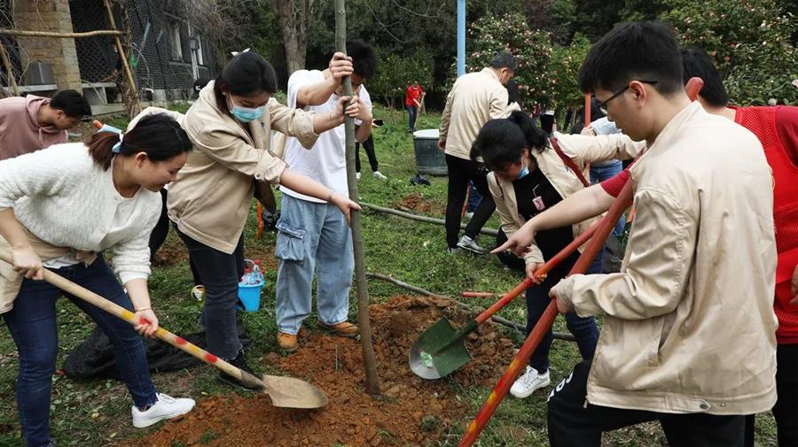 DS视讯·(中国)官方网站