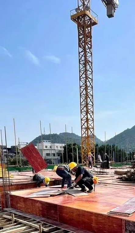DS视讯·(中国)官方网站