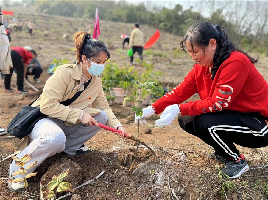 DS视讯·(中国)官方网站