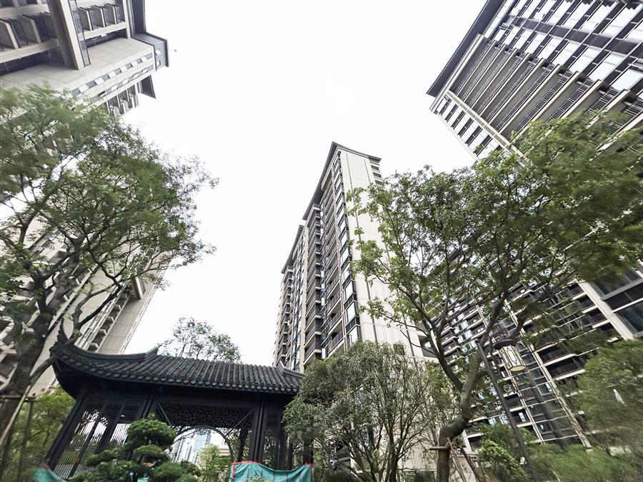 DS视讯·(中国)官方网站