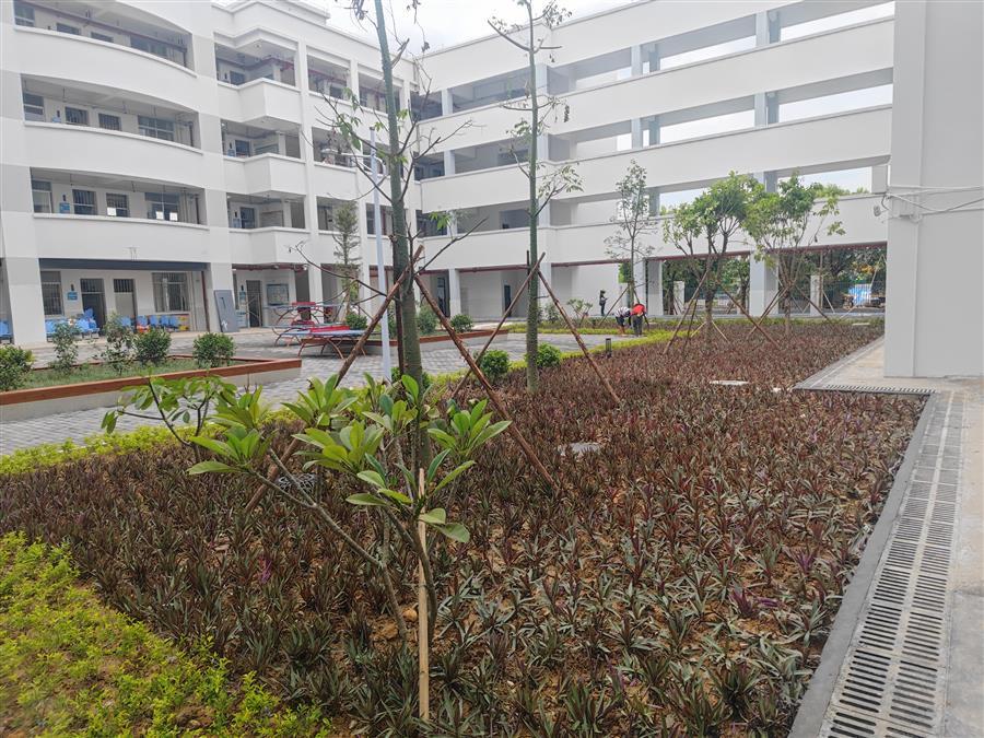 DS视讯·(中国)官方网站