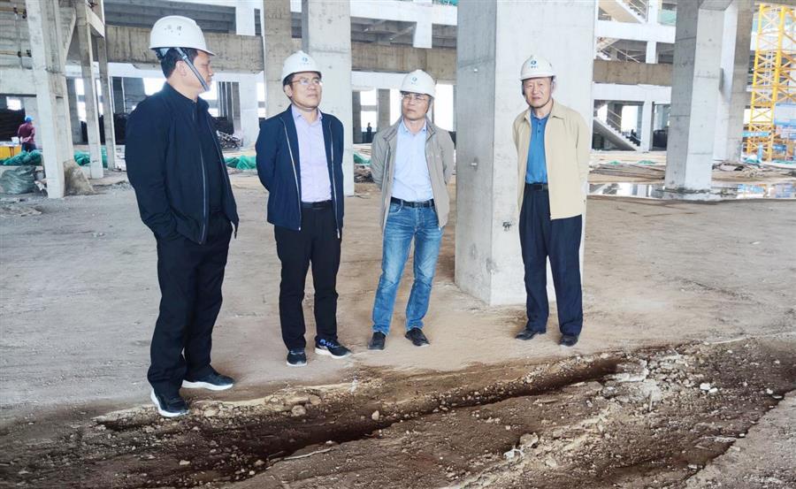 DS视讯·(中国)官方网站