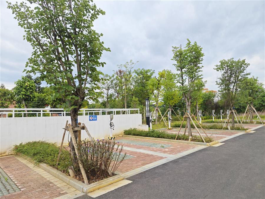 DS视讯·(中国)官方网站