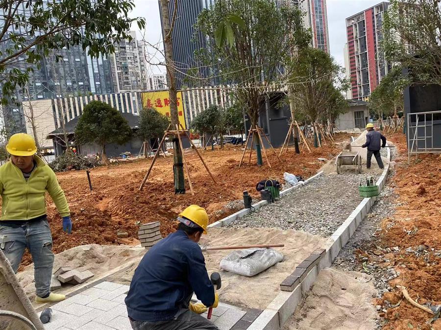 DS视讯·(中国)官方网站