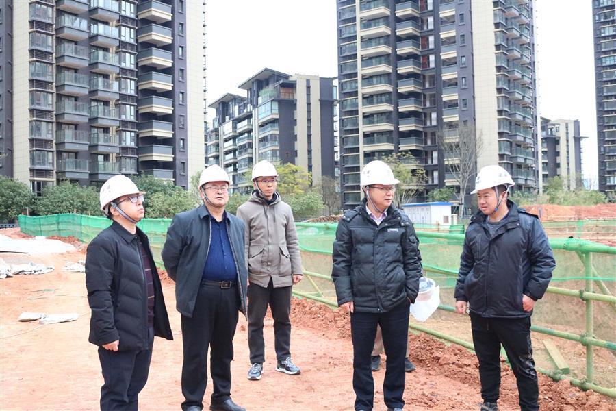 DS视讯·(中国)官方网站