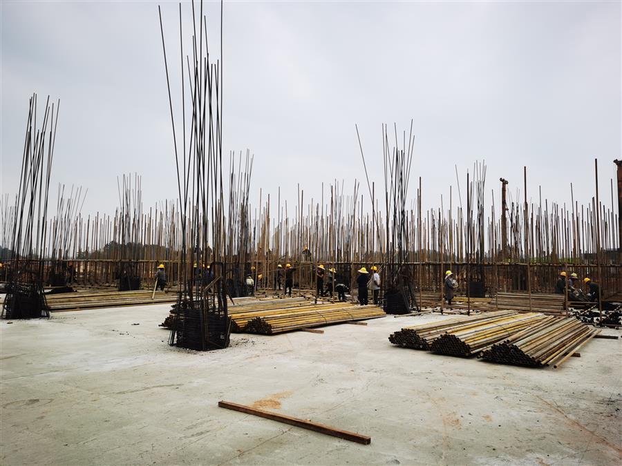 DS视讯·(中国)官方网站