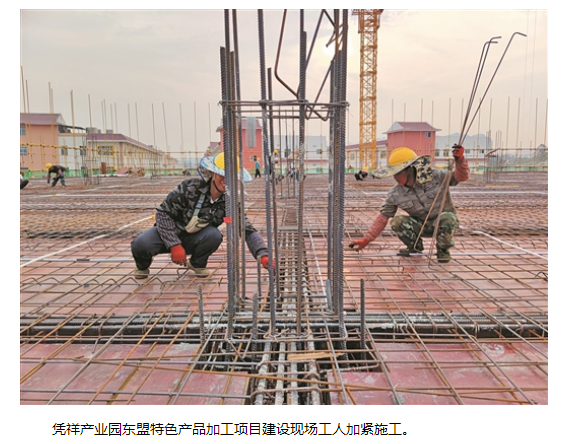 DS视讯·(中国)官方网站