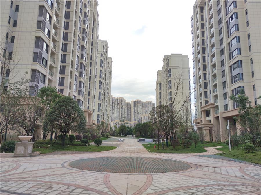 DS视讯·(中国)官方网站