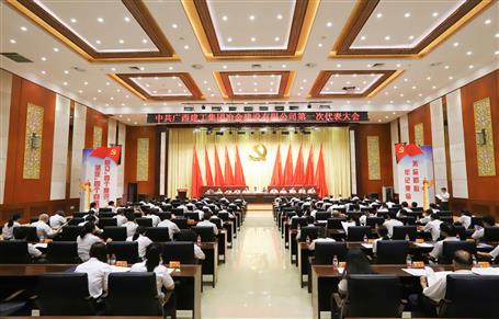 广西DS视讯冶建第一次党代会胜利召开