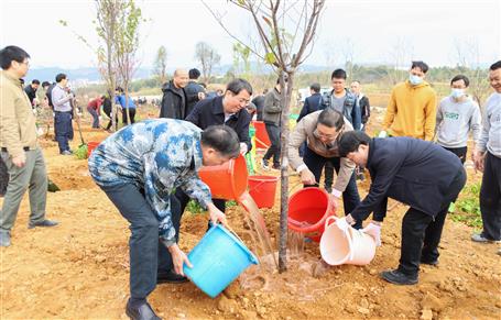 吴炜率队到公司承建的项目举行新春义务植树运动