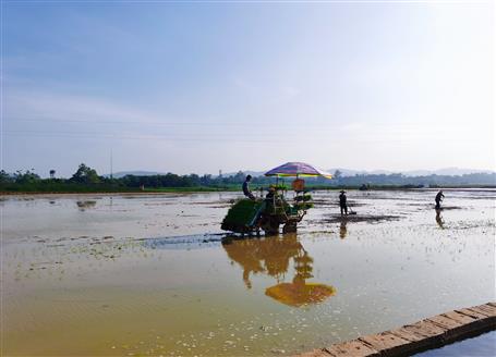 千亩“瘦地”变“沃田”丨石碑坪“旱改水”项目出效果，，，，，，，助力墟落振兴