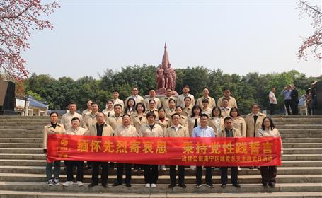 赓续红色血脉 凝聚奋进力量丨南宁区域党总支开展清明祭扫主题党日运动